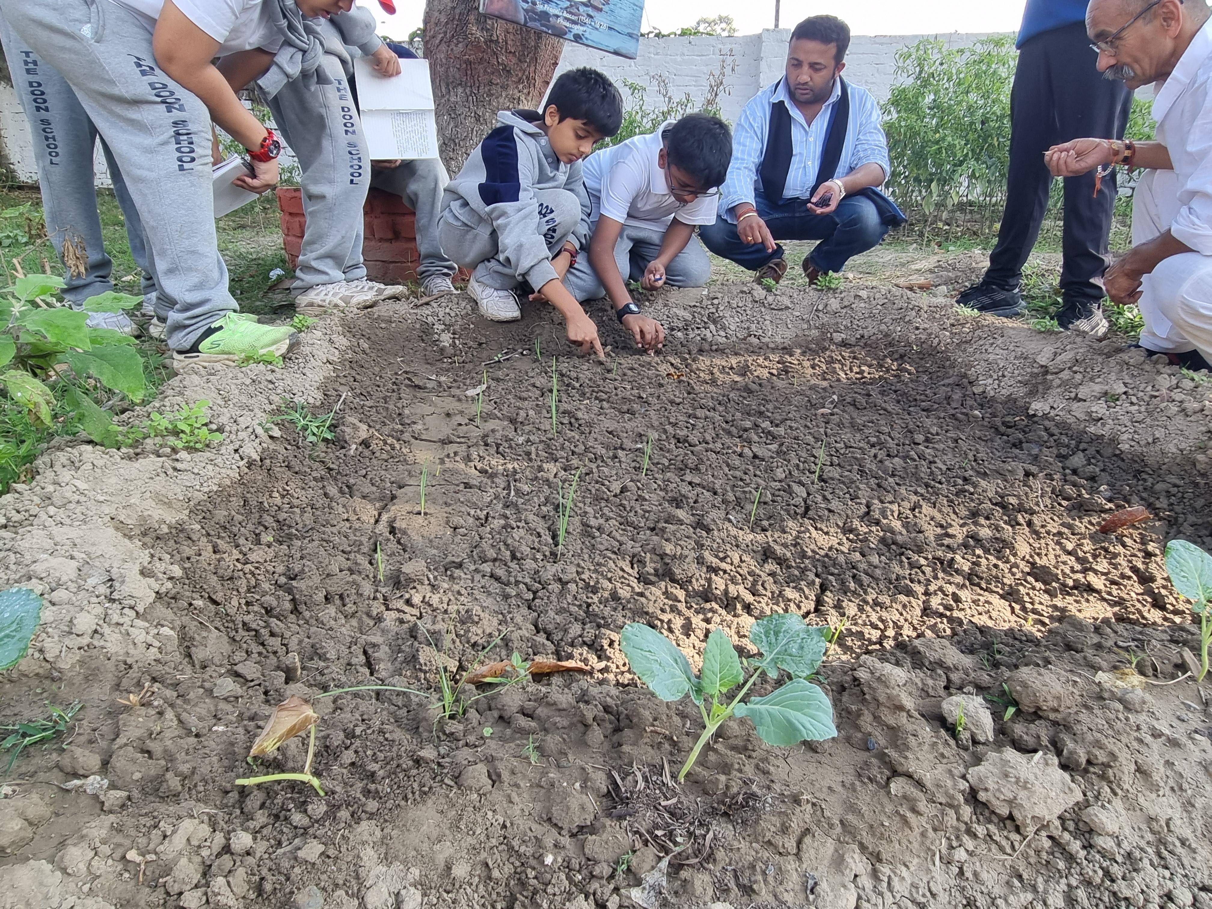 Organic Farm